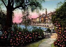 Menton CPA the old city through the olive-trees