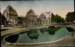 Rennes CPA LE Thabor Bassin et Serres