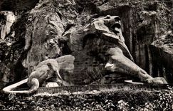 Belfort CPA the lion (work of Bartholdi)