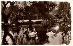 The United Kingdom Victori Park Paignton Swan Swan