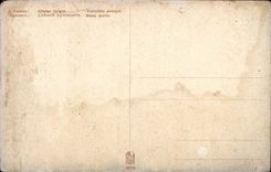 CPA Violoniste Stecker (Violine)