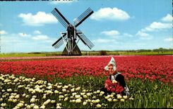 The Netherlands Holland Bloemenland Molenland (Mill millet)