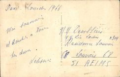 Lourdes CPA the cave and the basilica