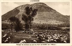 Auvergne CPA Pasturage of sheep to the foot of Puy de Dome