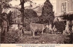 Clermont Ferrand CPA petrifying Fontaine of the caves of Peru of St Alyre Animaux natural petrify
