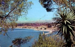 Nice MODERN CARD View