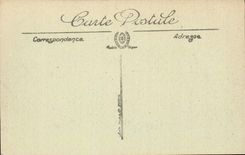 Belfort - the Castle and the lion - CPA