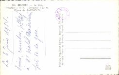 Lion of Belfort - Work of Bartholdi - CPA