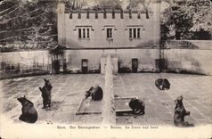 Switzerland - Bern - Baerengraben the Bear pit - CPA