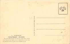 Roquefort - Low Cellars - a Salting tub the Cheeses rub salt on all their surface - CPA