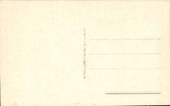 Verna Arerzo Stimato di S Francesco- CPA