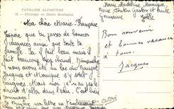 Patrurage in High mountain - Cows - Landscape Alpine CPA