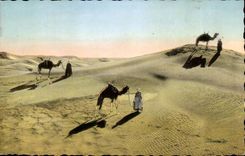 Scenes and Types - Tuaregs in Dunes CPA