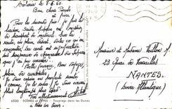 Scenes and Types - Tuaregs in Dunes CPA