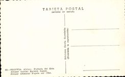 Spain - Spain - Segovia Fachada LED este - Alcazar- CPA