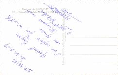 Switzerland - Bern - Lauterbrunnen 797 m put Staubbach - CPA