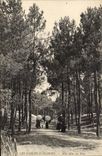 Sables d'Olonne - Allee in the Pines - CPA