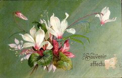 Phantasie - Blumen - Andenken - CPA