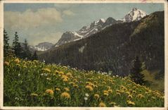 Switzerland - Bern - Adeboden - Blumige the Wiese - CPA