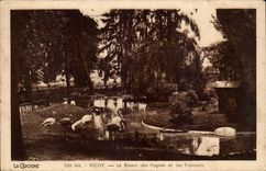 Vichy - the Basin of the Swans and Flamingos - swans and flamingoes - CPA