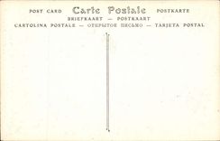 Musee de Montpellier - Ecole Venitienne Portrair de Vieilard par Vecelli dit le Titien CPA 