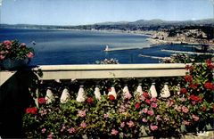 Nice - Sight Generalr - CPA