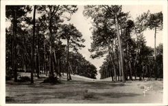 Arcachon - Les dunes de la Ville d'Hiver - CPA 