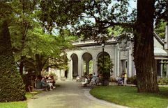 Vichy - the Celestins Source - CPA