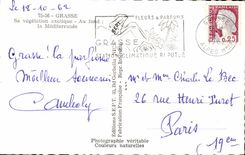 Fetthaltiges - seine exotische Vegetation an der Unterseite das Mittelmeer - CPA