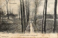 Toul - the Pit of the Walls at the Gate the Moselle CPA