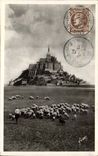 The holy Mount Michel - sheep - sheep grazing - CPA