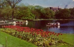 The Public United States CPA Gardens Boston