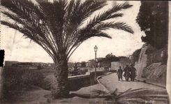 Toulon CPA Mourmillon Seen between the palm trees