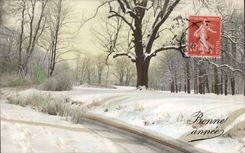 CPA Fantasy Happy New Year