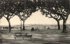 Gone Cannes CPA of Freedom (boats)