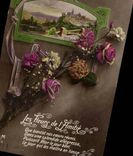 CPA Happy Fantasy year hours of the friendship