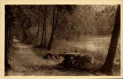 Saint Honore les Bains CPA Under wood with Defends