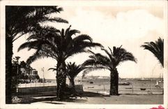 Dinard CPA palm trees At the bottom St Malo on the right Brittany