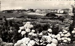 Biarritz CPM Les hortensias et vue generale sur le rocher du Basta la plage et le phare (lighthouse) Flamme Pasy basque 