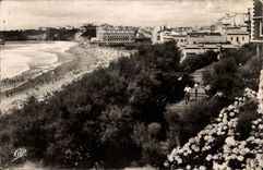 Biarritz CPM La plage et les hortensias