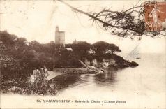 Island of Noirmoutier CPA Wood of Chaize the red handle