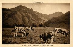 Auvergne CPA Of O Landscape Valley of hell (cows)