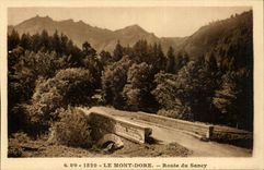 Auvergne CPA G Of O the mount gilds Route of Sancy
