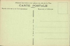 Belfort CPA the Bartholdi lion