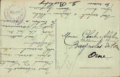 Belfort CPA the lion