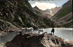 See Gaube CPA der See