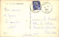Corse Corsica CPA Les iles sanguinaires