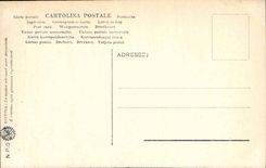 Italy Italia Napoli CPA Museo nazionale Flora