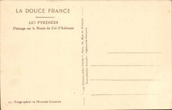 The Pyrenees CPA Pasture on the road of the collar of Aubisque (cows)