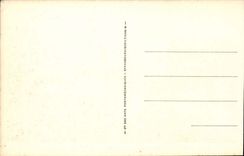 Deauville flowered Beach CPA the royal hotel (Wybo) and gardens